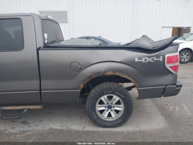 Ford F-150 Xl Image 4