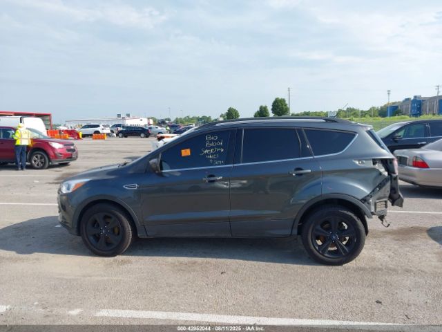Ford Escape Se Image 12