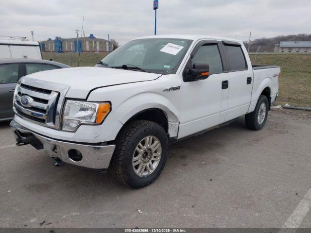 Ford F-150 Xlt Image 8