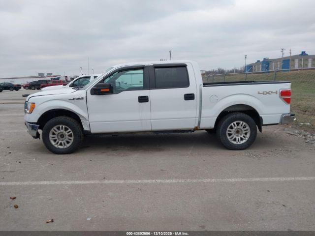 Ford F-150 Xlt Image 3