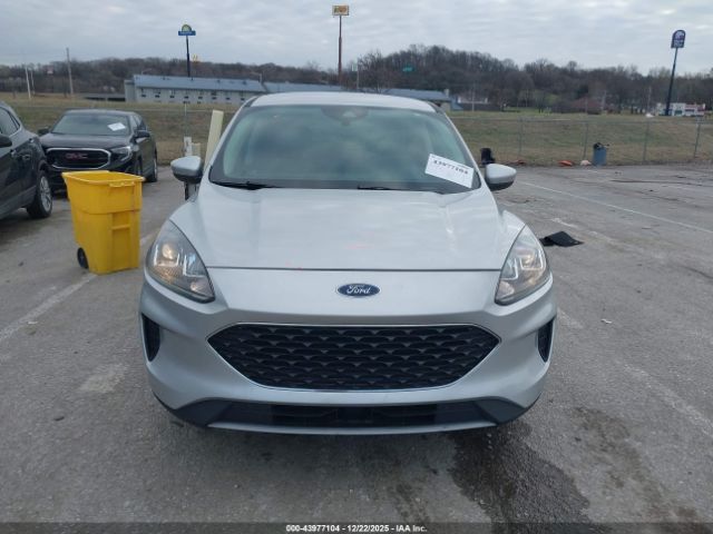 Ford Escape Se Image 11